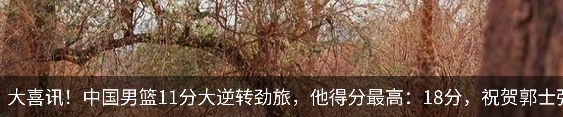 最新动态